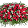 Cuscino extra 1